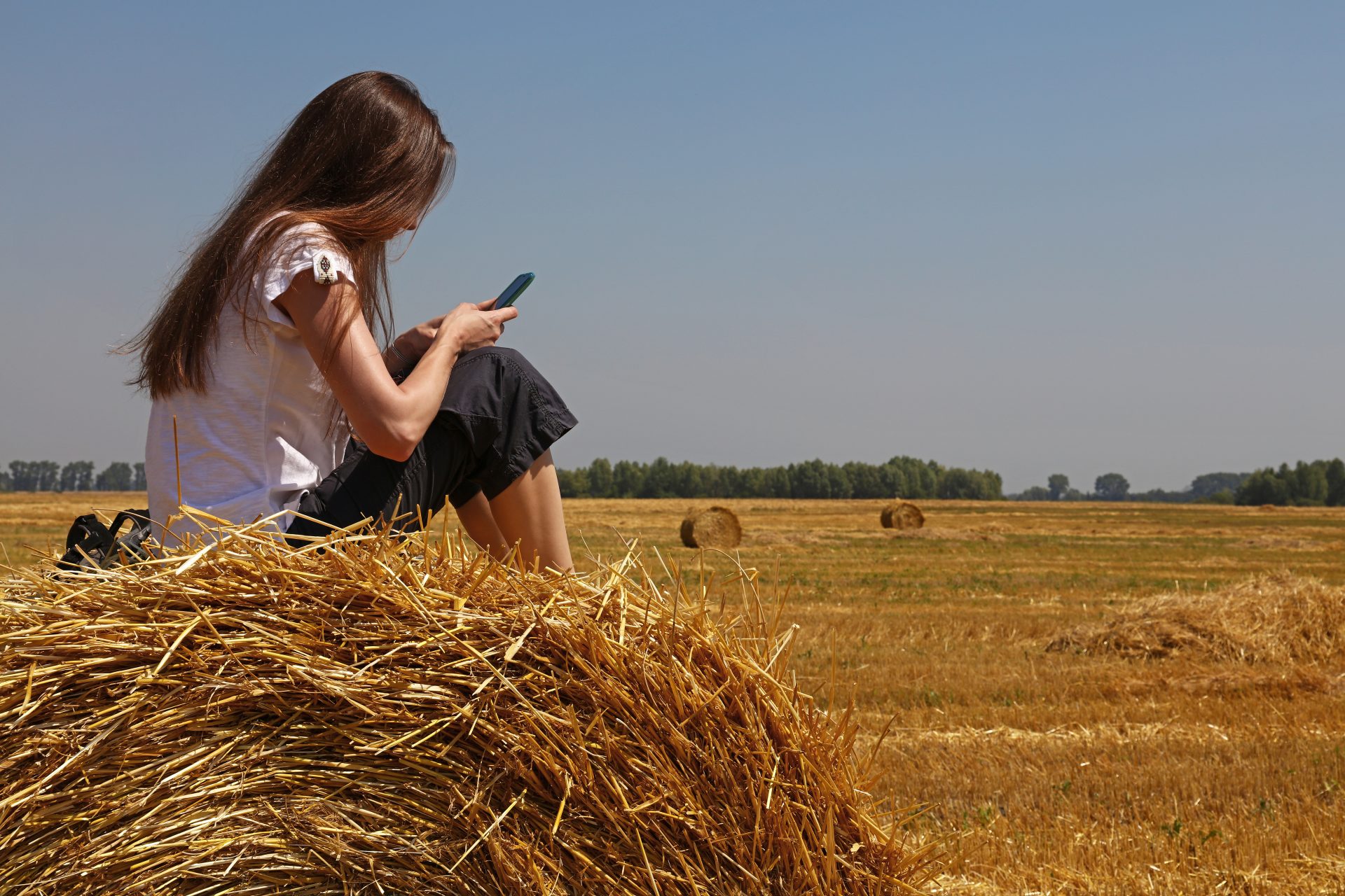 Young woman sitting on straw bale looking at smartphone