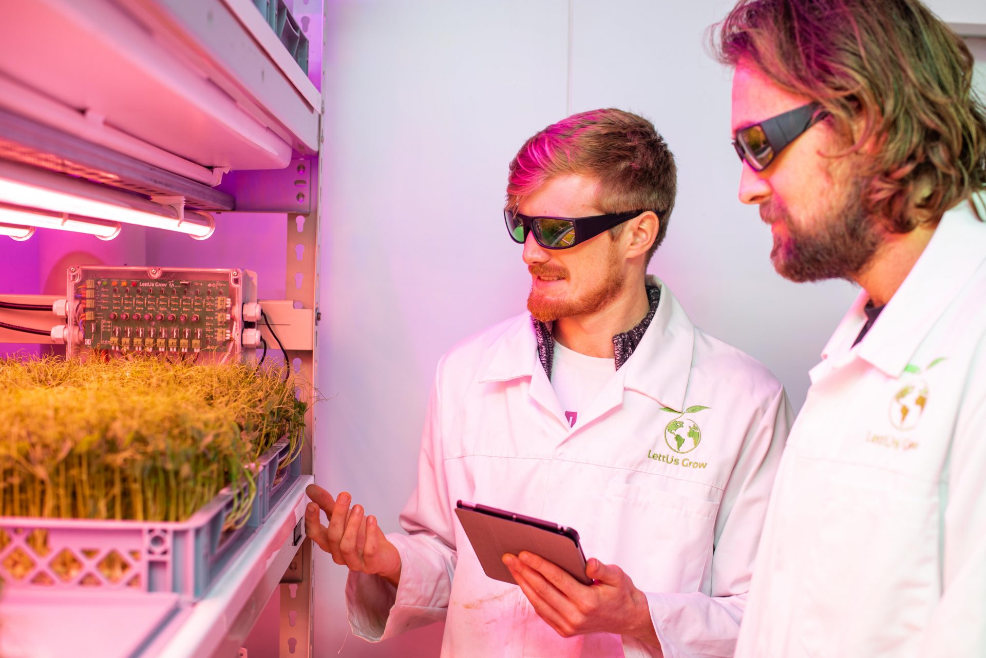 Jack Farmer, LettUs Grow Co-Founder & Chief Scientific Officer (left), and Charlie Guy, Co-Founder & CEO, inspect pea shoot crops in LettUs Grow's aeroponic research centre